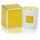 Max Benjamin - Grapefruit & Pomelo Scented Candles